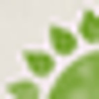 Tanvi Foods (India) Ltd Logo