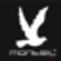 Lorenzini Apparels Ltd Logo