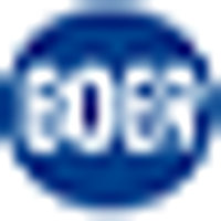 Boer Power Holdings Ltd Logo