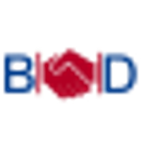 B & D Strategic Holdings Ltd Logo