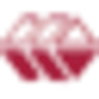 Wenye Group Holdings Ltd Logo