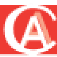 Chinney Alliance Group Ltd Logo