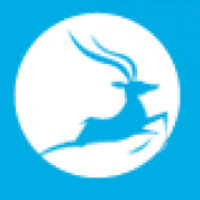 Kingkey Intelligence Culture Holdings Ltd Logo