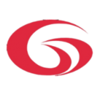 G-Vision International (Holdings) Ltd Logo