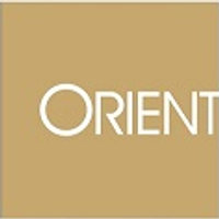 Orient Securities International Holdings Ltd Logo