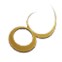 Flying Financial Service Holdings Ltd Logo