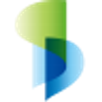 China Singyes New Material Holdings Ltd Logo