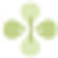 Medicskin Holdings Ltd Logo