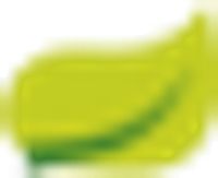 Dayou Plus Co Ltd Logo