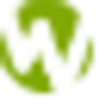 DoubleU Games Co Ltd Logo