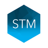 STM Group PLC Logo