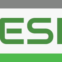 Esi SpA Logo