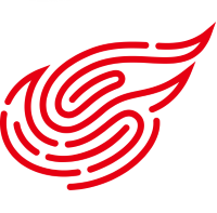 NetEase Inc Logo