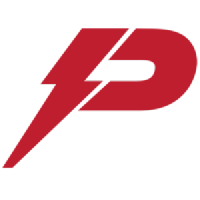 Pioneer Power Solutions Inc Logo