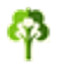 Dhunseri Investments Ltd Logo