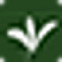 United Nilgiri Tea Estates Company Ltd Logo