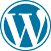 Wendt (India) Limited Logo