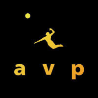 AVP Inc Logo