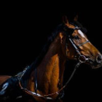 Eon Discovery Group Inc Logo