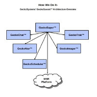 GeckoSystems International Corp Logo