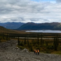 Goldrich Mining Co Logo