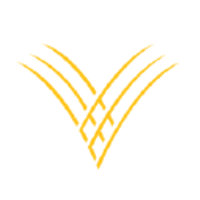 Golden Valley Bank Logo