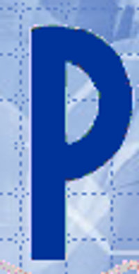 Princeton National Bancorp Inc Logo