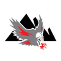 Premier Pacific Construction Inc Logo