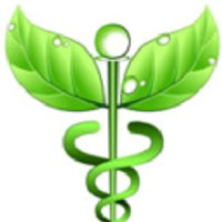 Rising Biosciences Inc Logo