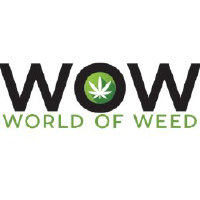 Wowi Inc Logo