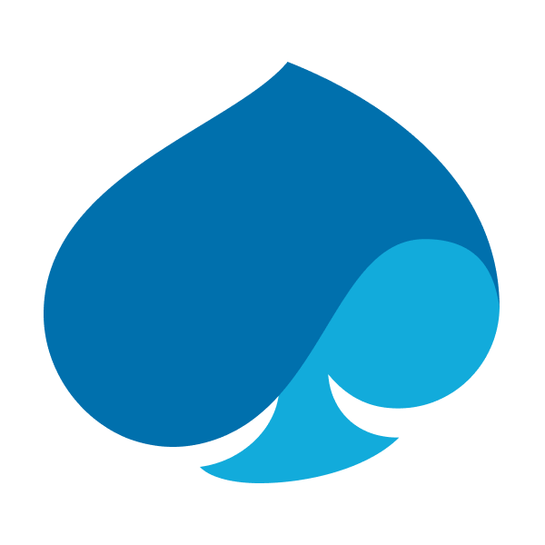 Capgemini SE Logo