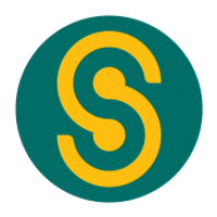 Serial System Ltd Logo