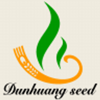 Gansu Dunhuang Seed Group Co Ltd Logo