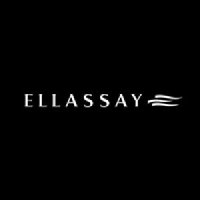 Shenzhen Ellassay Fashion Co Ltd Logo