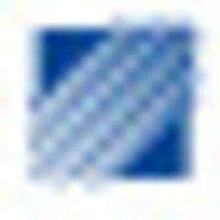 Wetown Electric Group Co Ltd Logo