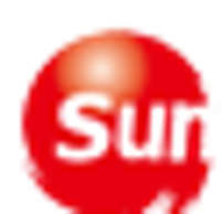 Sunyes Electronic Manufacturing Guangdong Holding Co Ltd Logo