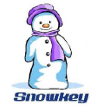 Fujian Snowman Co Ltd Logo