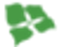 Staidson Beijing BioPharmaceuticals Co Ltd Logo