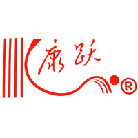 Kangyue Technology Co Ltd Logo