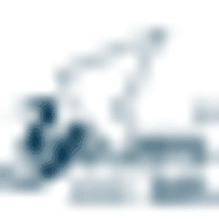 Jiangnan Yifan Motor Co Ltd Logo