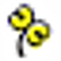 Care Twentyone Corp Logo