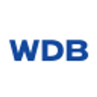 WDB Holdings Co Ltd Logo