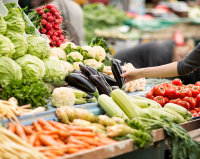 E-Supportlink Ltd Logo