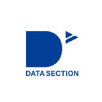 Datasection Inc Logo