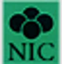 NIC Autotec Inc Logo
