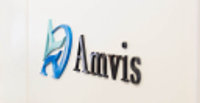 Amvis Holdings Inc Logo