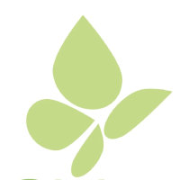 Pieridae Energy Ltd Logo