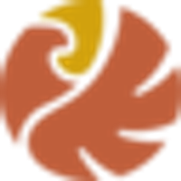 American Eagle Gold Corp Logo