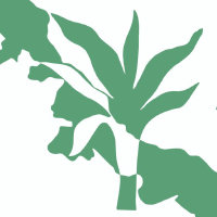 Azucar Minerals Ltd Logo