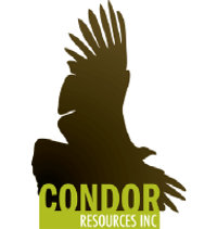 Condor Resources Inc Logo
